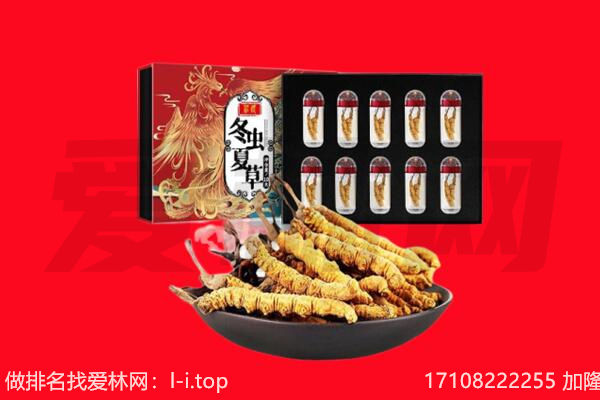 巴音郭楞轮台县回收虫草.jpg